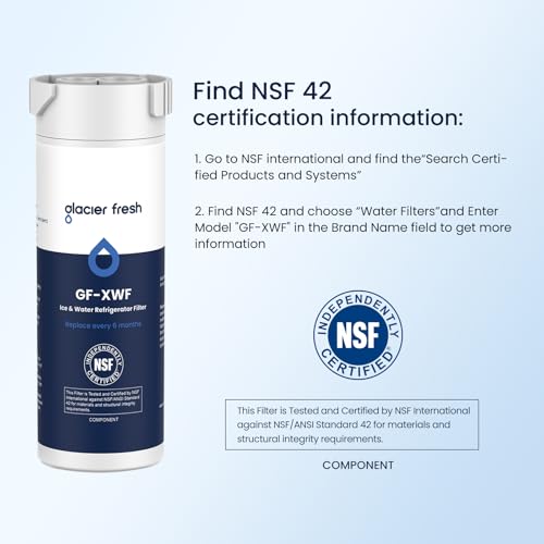 XWF Replacement for GE XWF Refrigerator Water Filter 2 Pack (2 Count)