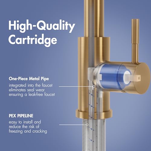 Kitchen Faucet with Pull Down Sprayer Brushed Gold