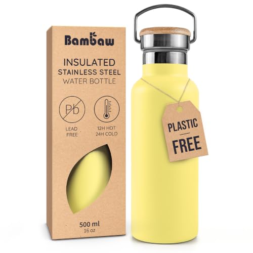 16 oz Insulated Water Bottle