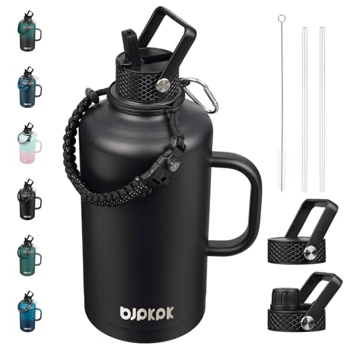 87oz Insulated Water Bottle with Straw Lid Stainless Steel Water Jug