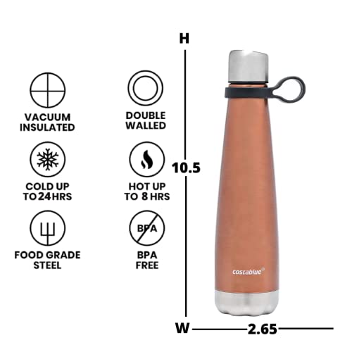 Insulated Water Bottle
