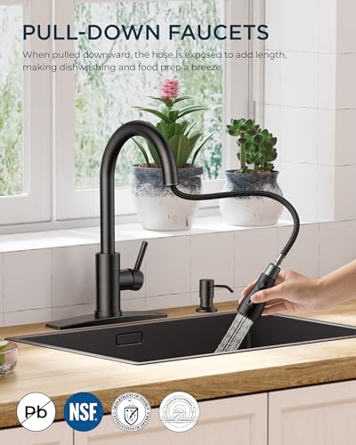 Kitchen Faucet with Soap Dispenser