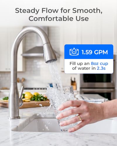 P1 Replacement Water Filter for Waterdrop TST