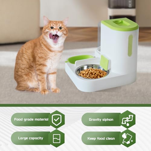 2 in 1 Automatic Cat Feeder & Water Dispenser