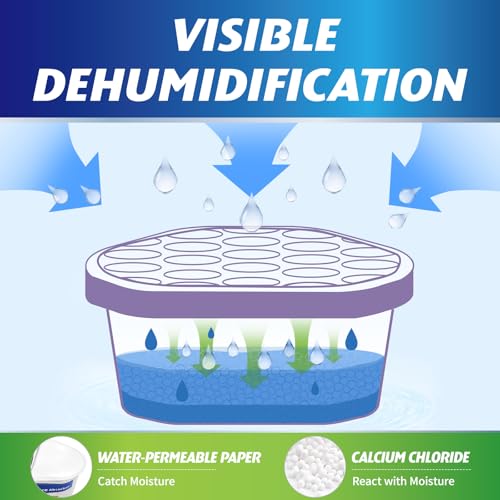 Moisture Absorber (12 Count)