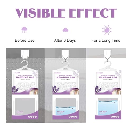 Hanging Moisture Absorber