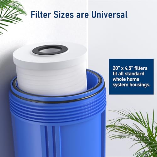 AP810-2 High-Capacity Whole-House Replacement Water Filter