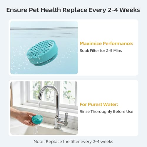 Glass Cat and Dog Water Fountain 90oz