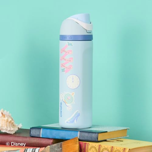 Princess FreeSip Stainless Steel Water Bottle 24 oz Cinderella
