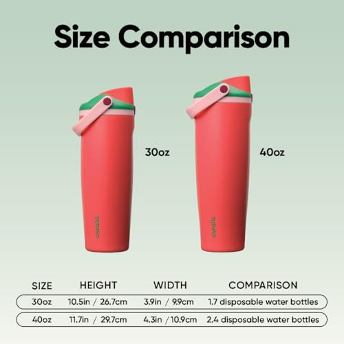 FreeSip Sway Stainless Steel Water Bottle 30 oz Strawberry Fields