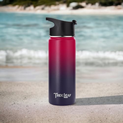 Travel Water Bottle with 3 Lids