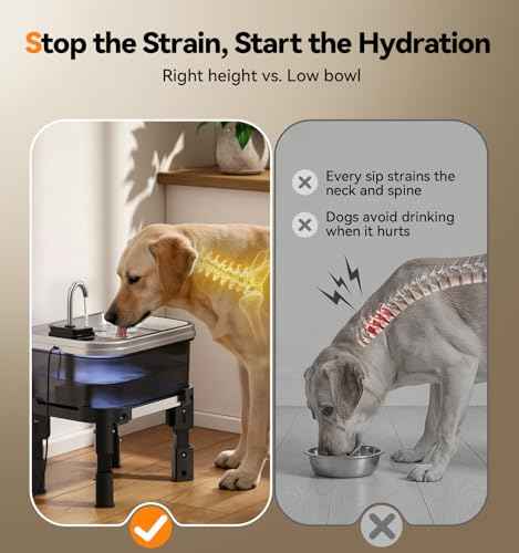 9L 2.38Gal Dog Water Fountain Elevated with 4