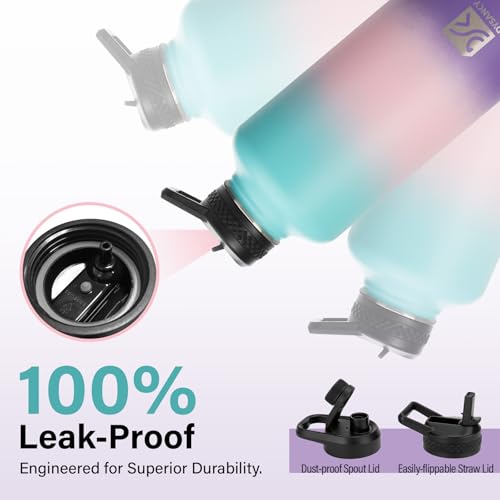 Insulated Water Bottle