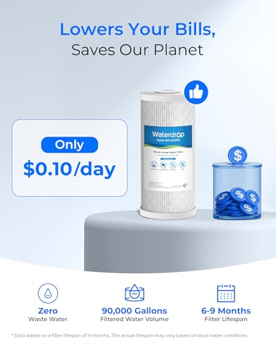 WF10PB Whole House Water Filter for WHF21