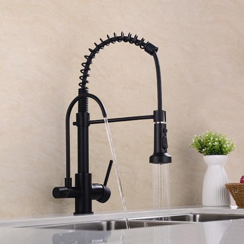 Commercial 3 in 1 Spring Black Kitchen Faucet