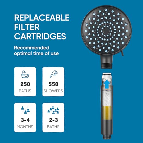 Filtered Shower Head with Handheld