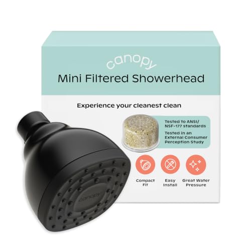 Mini Filtered Shower Head