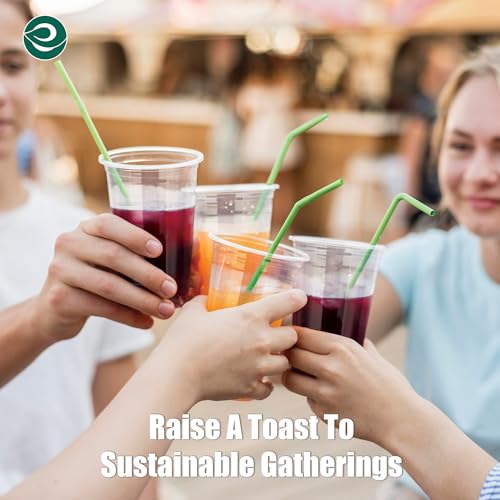 12 Oz Plant Based Disposable Party Cups (200 Count)