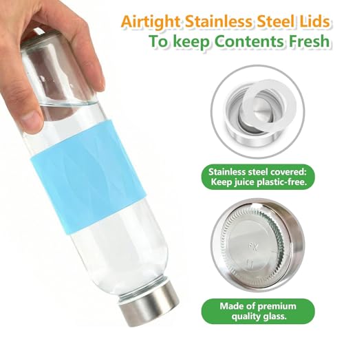 18oz Glass Juice Bottles with Stainless Steel Lid Leak Proof 10 Pack (10 Count)