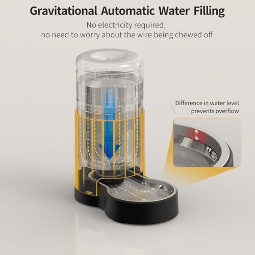 Cat Water Dispenser with Filter and Stainless Steel Bowl