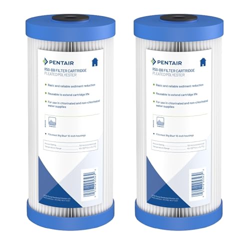 Pentair Pentek R50 (2 Count)