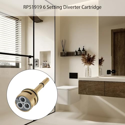 RP51919 6 Setting Diverter Cartridge