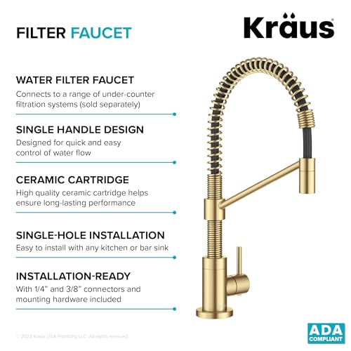 Bolden Single Handle Drinking Water Filter Faucet for Reverse Osmosis or Water Filtration System in Brushed Brass