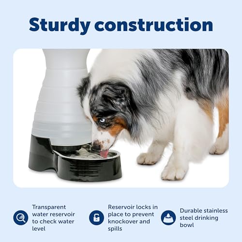 Healthy Pet Water Station