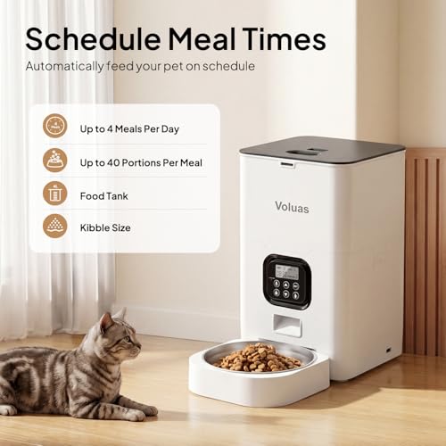 Automatic Cat Feeder