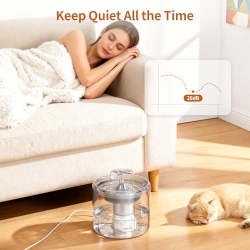 Cat Fountain 2.6l (87 Fl Oz)