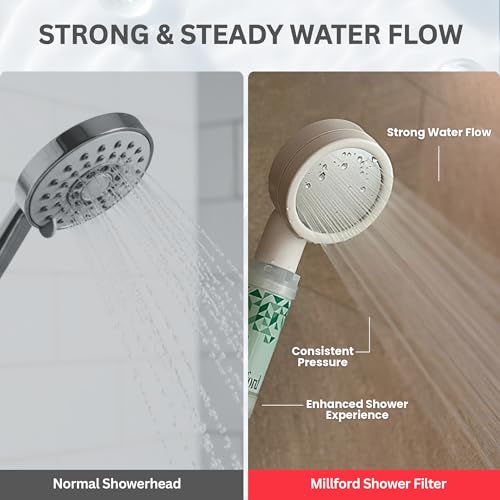 Vitamin C Shower Filter