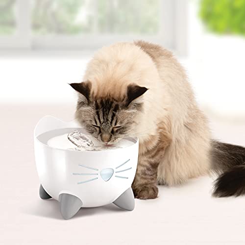 PIXI Drinking Fountain