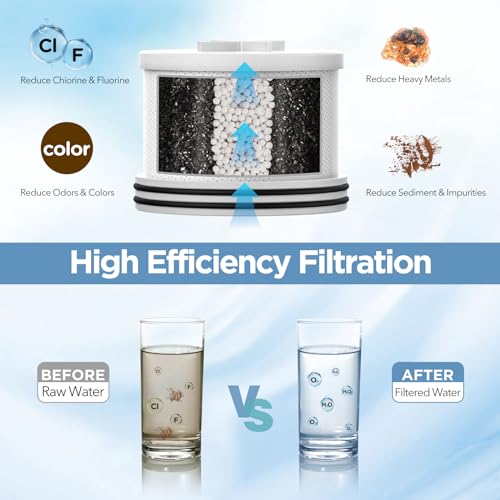 Filtered Shower Head with Upgraded Activated Carbon Filter