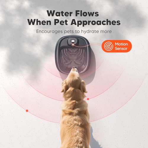 Wireless Dog Water Fountain for Large Dogs