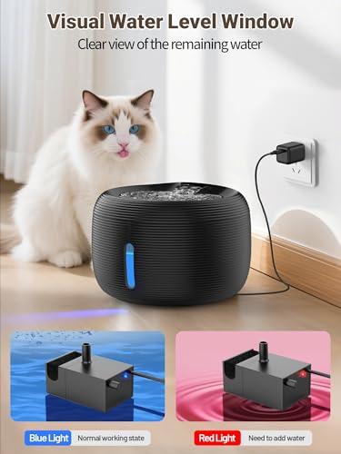 Cat Water Fountain
