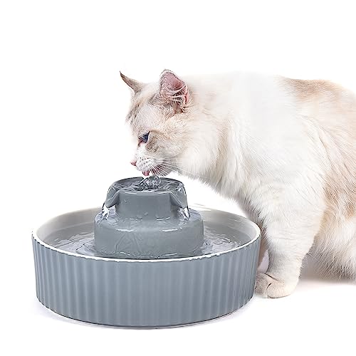 Ceramic Cat Water Fountain