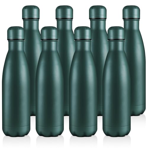 17oz Stainless Steel Water Bottles Bulk (8 Count)