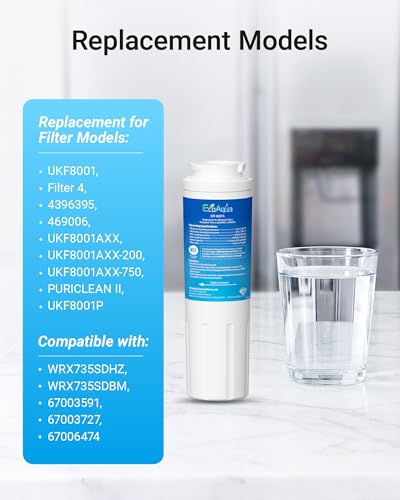 EDR4RXD1 Replacement Filter (2 Count)
