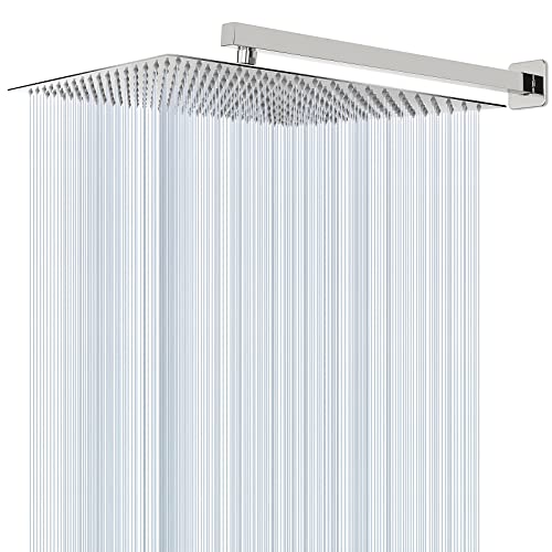 Shower Head with Extension Arm