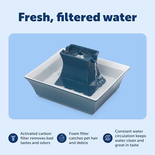 Cat and Dog Water Fountain