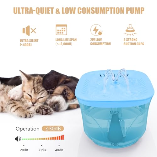 Cat Water Fountain
