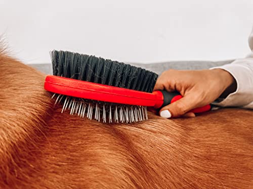 Double Sided Dog Brush