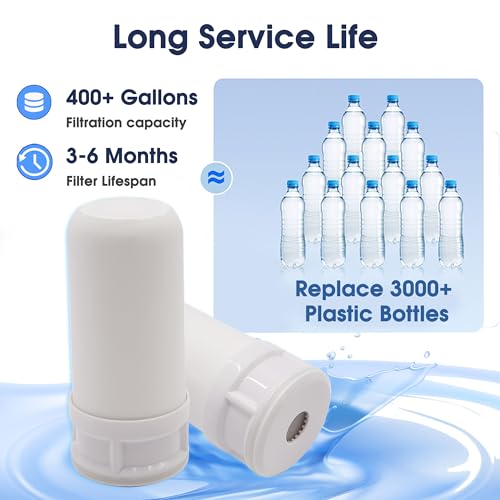 Universal Faucet Mount Replacement Filter Cartridge (2 Count)