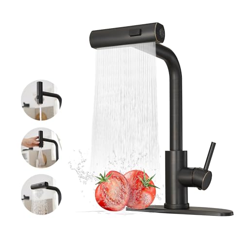 Kitchen Faucets with Pull Down Sprayer