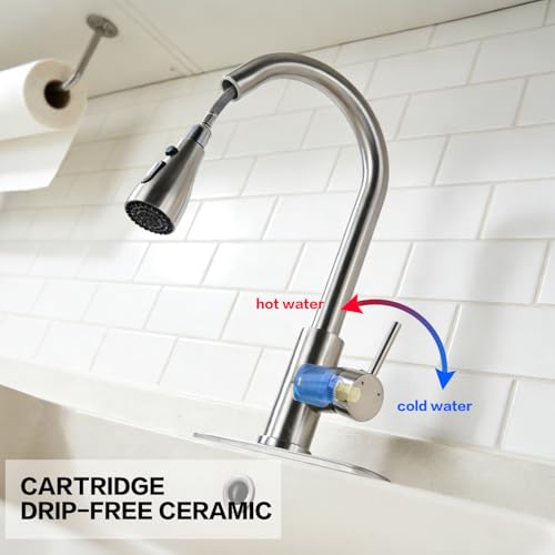 Kitchen Faucet with Pull Down Sprayer
