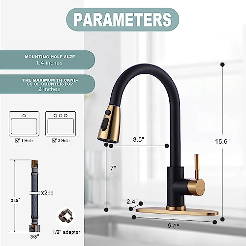 Black and Gold Kitchen Faucet with Sprayer