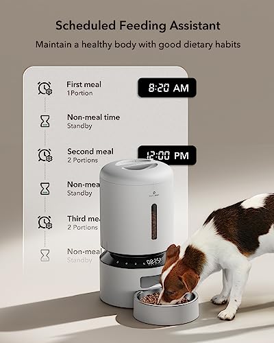 Automatic Cat Feeder