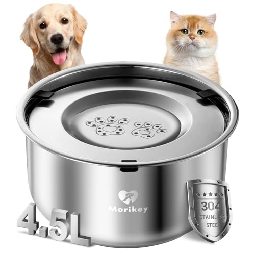 Dog Water Bowl No Spill (152 Fl Oz)