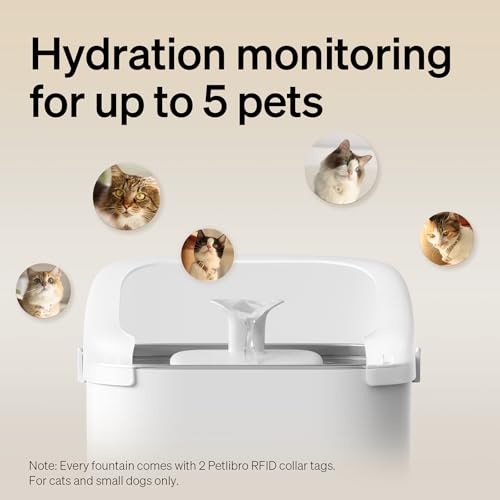 Cats Water Fountain for Multi Cats