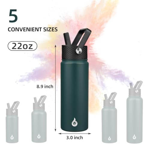 22oz Insulated Water Bottle with Straw Lid
